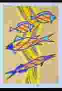 Freshwater Fish (Spring)