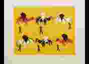 Camel Trek